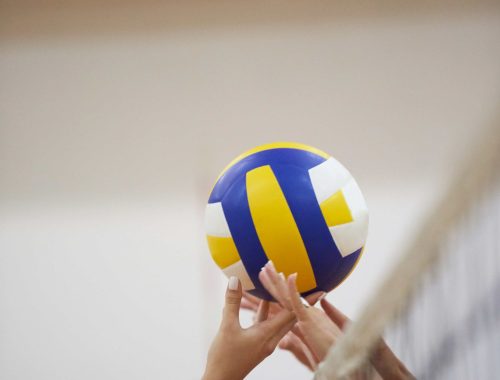 AdobeStock_81168519